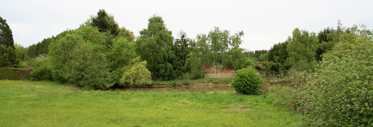 Terrain  5600 m² à vendre à Foussemagne (90150)