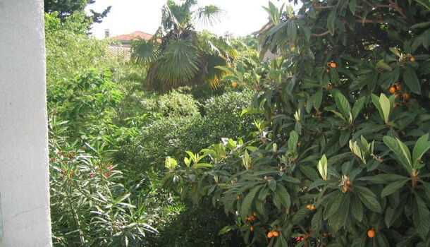 Appartement 1 pièces  à louer Montpellier 34000