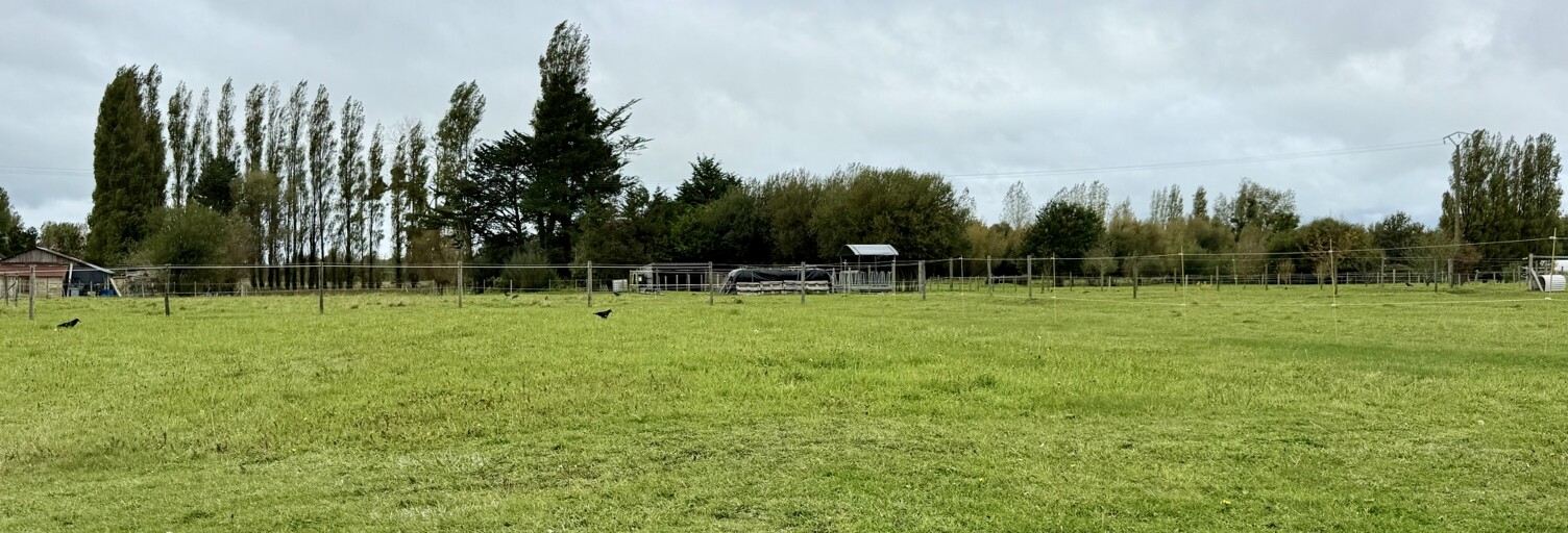 Terrain  763 m² à vendre à Tourneville-sur-Mer (50660)