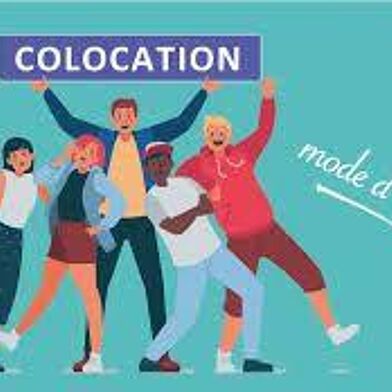 Appartement 1 pièces 570 €