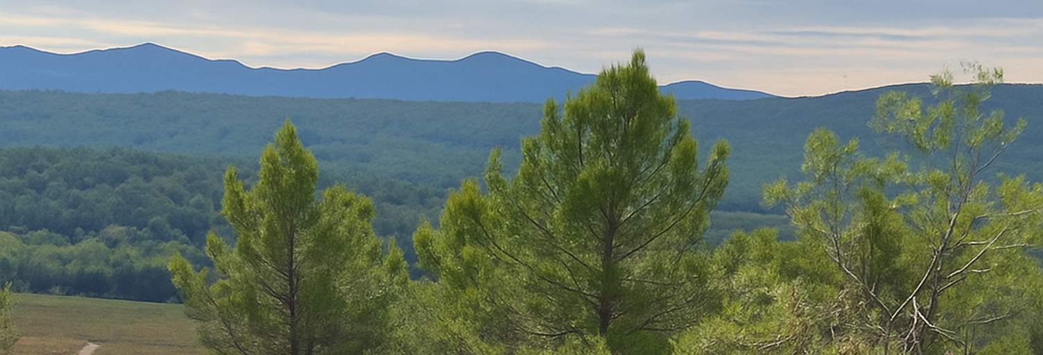 Maison 5 Pièces 103 m² à vendre à Lorgues (83510)