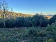 Terrain à bâtir de 0 pièces principales — photo 2