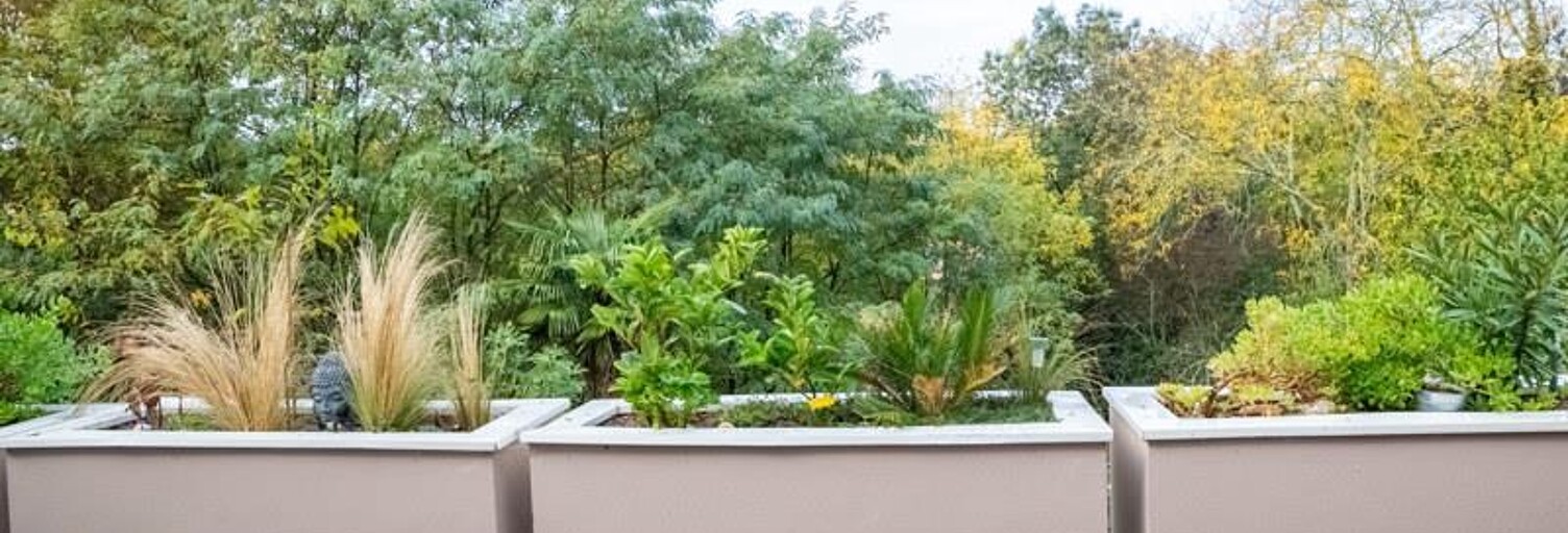 Appartement 3 Pièces 64 m² à vendre à Floirac (33270)