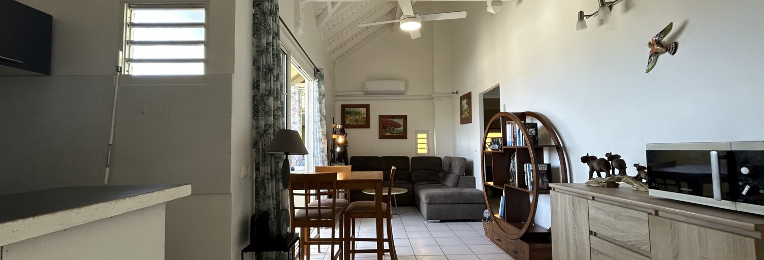 Appartement 3 Pièces 49 m² à vendre à Saint-François (97118)