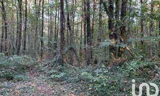 Terrain  7280 m² à vendre à Les Lucs-sur-Boulogne (85170)