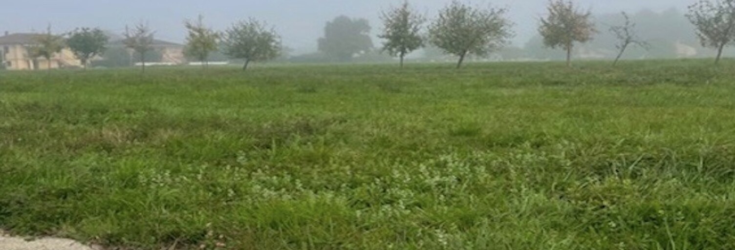 Terrain  568 m² à vendre à Aire-sur-l'Adour (40800)