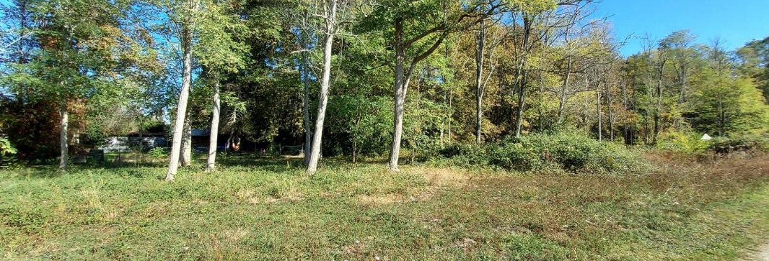 Terrain  8000 m² à vendre à Louchats (33125)