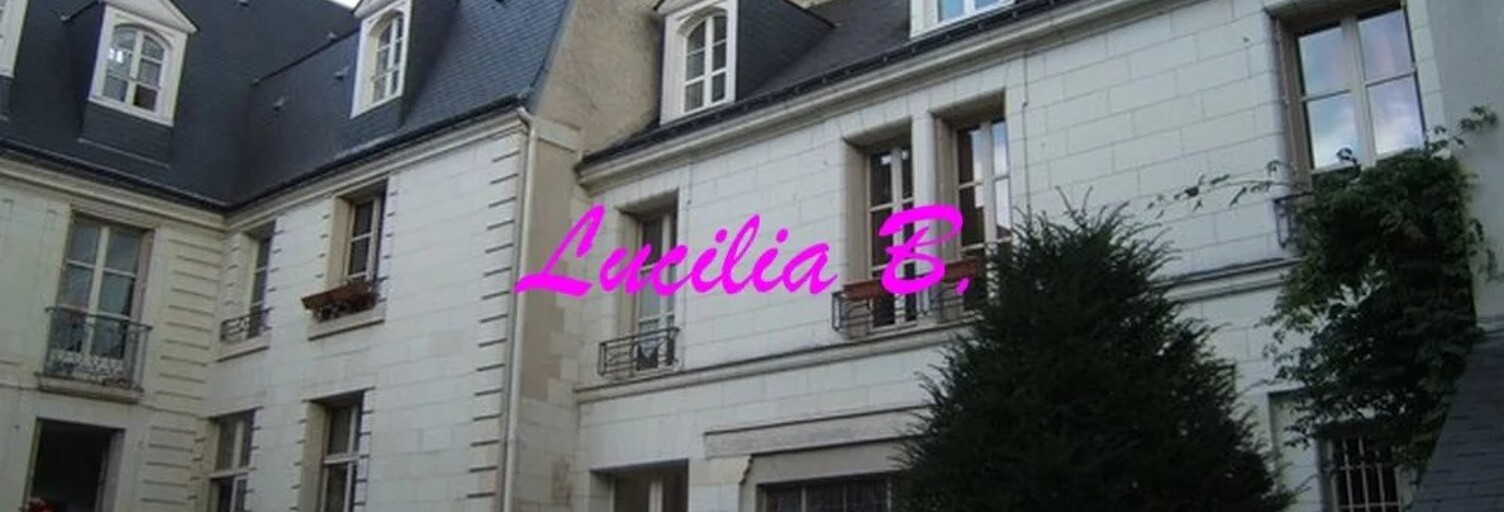 Appartement 2 Pièces 29 m² à louer à Tours (37000)