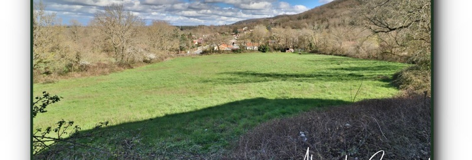 Terrain  9192 m² à vendre à Dourgne (81110)