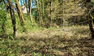 Terrain  1255 m² à vendre à Baladou (46600)