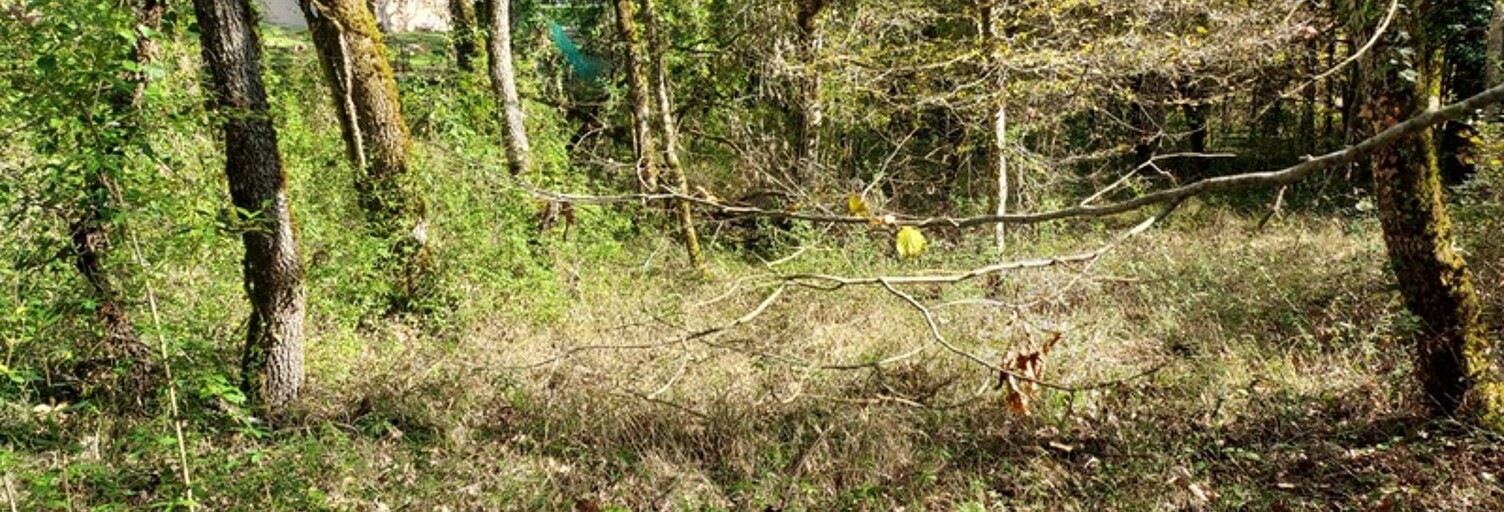 Terrain  1255 m² à vendre à Baladou (46600)