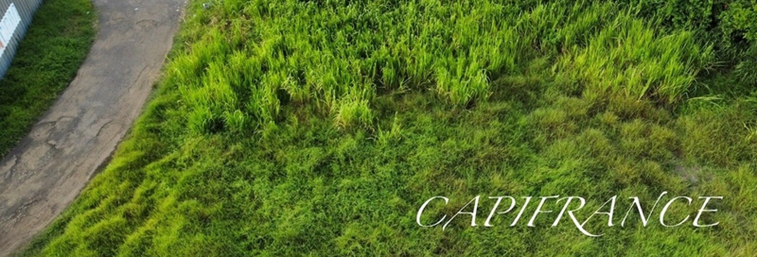 Terrain  698 m² à vendre à Le Marin (97290)