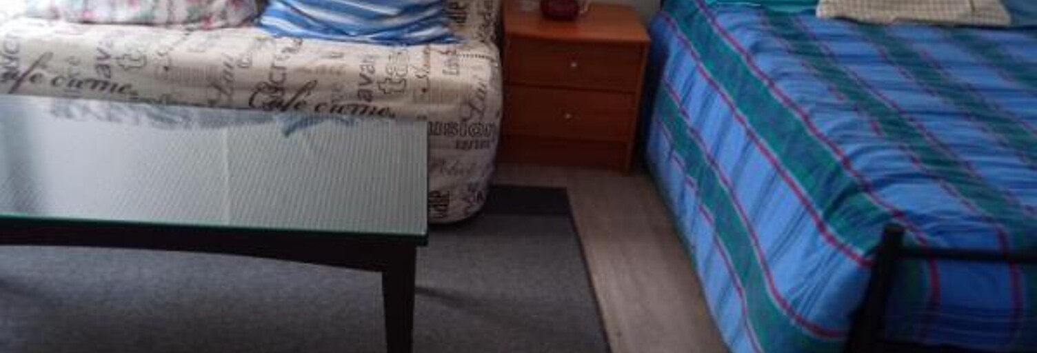 Appartement 1 Pièce 26 m² à louer à Lyon 8 (69008)