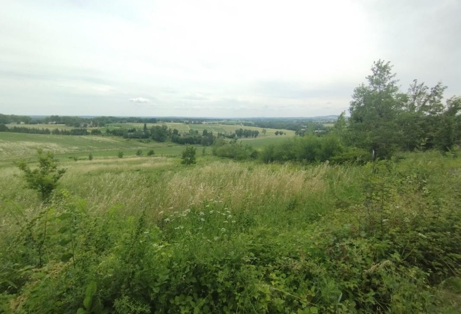 Terrain à bâtir — photo 1