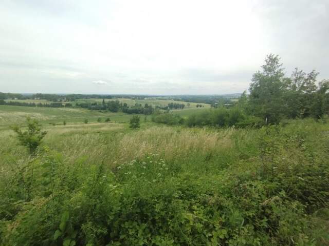 Terrain à bâtir — photo du bien