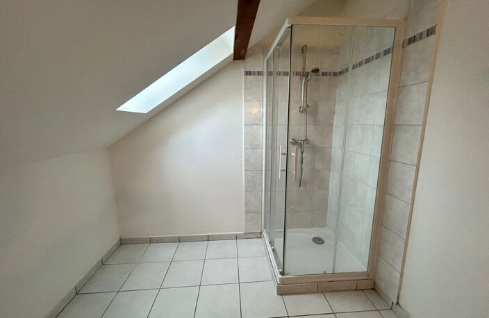 APPARTEMENT T2 A ST DIE DES VOSGES — photo 4