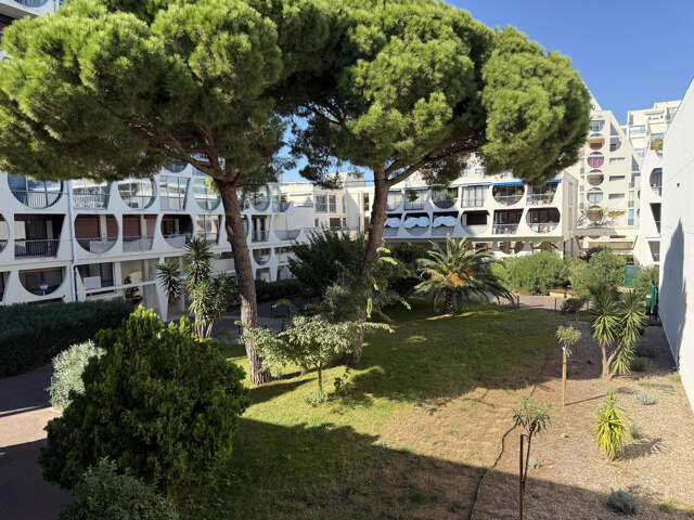 APPARTEMENT LA GRANDE MOTTE 1 PIÈCE 31.59 M2 — photo du bien