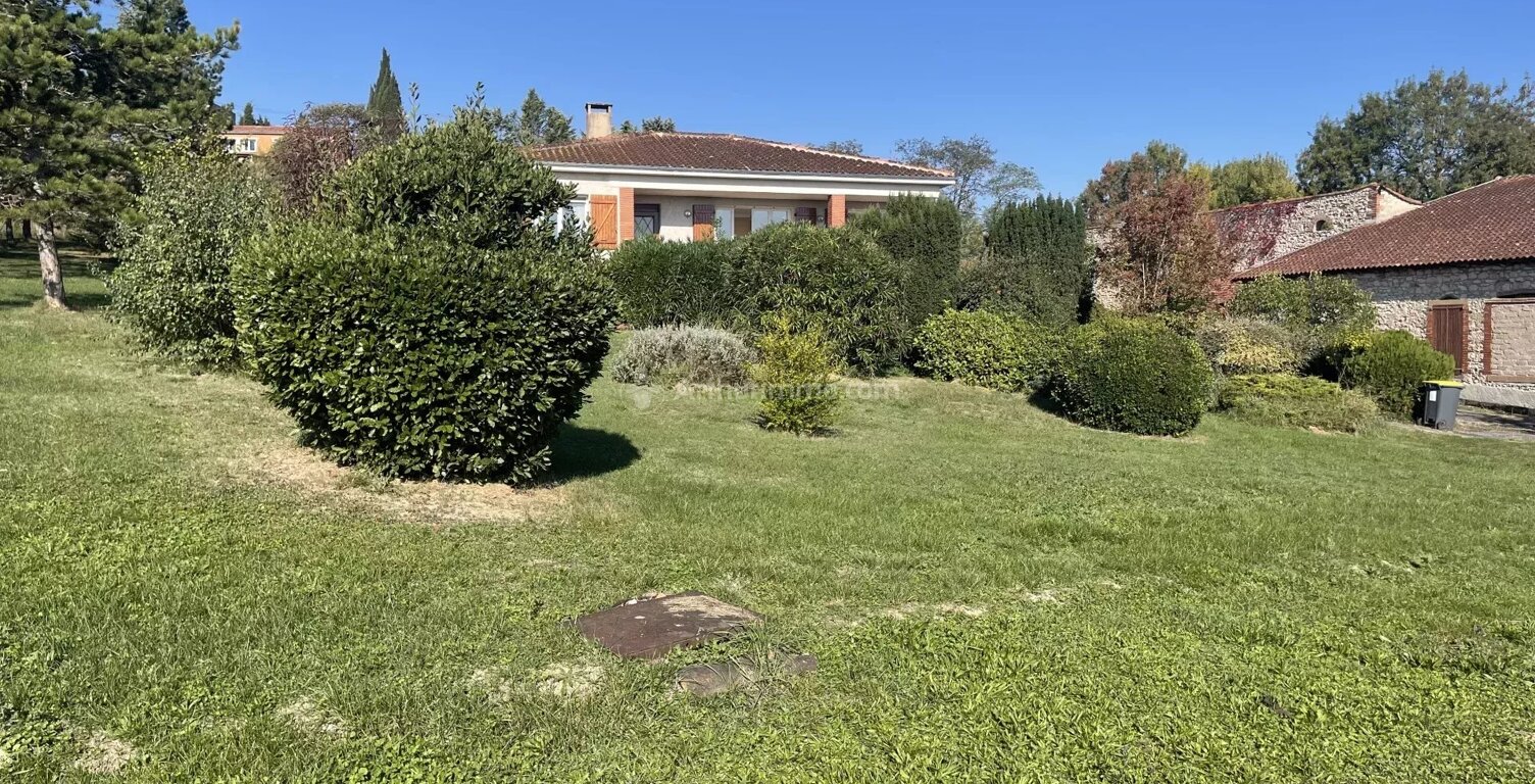 Maison spacieuse à Albi avec grand jardin — photo 1