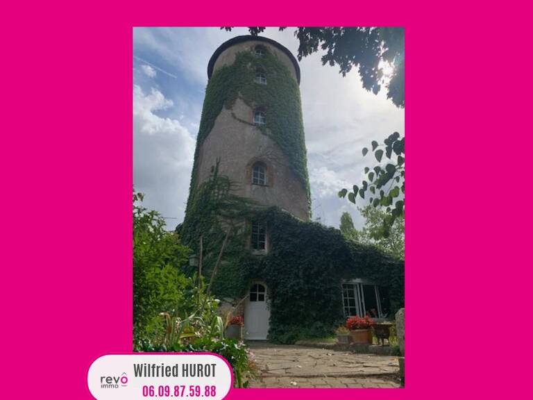 Moulin — photo 1