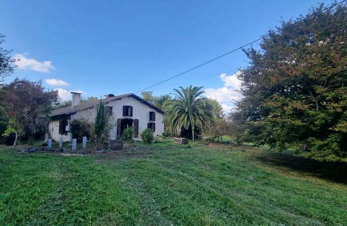 FERME EXCEPTIONNELLE SANS VOISIN SUR  26 Ha — photo 4
