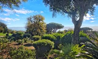 Maison 5 Pièces 95 m² à vendre à Grimaud (83310)