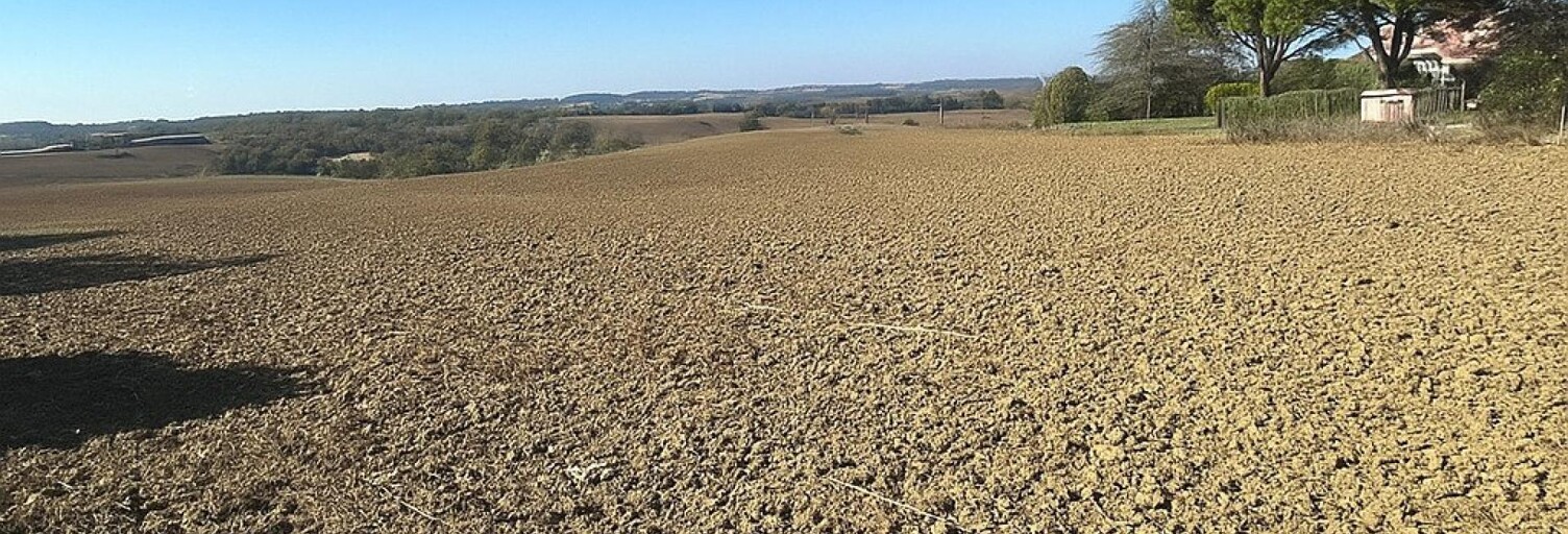 Terrain  1027 m² à vendre à Saint-Léon (31560)