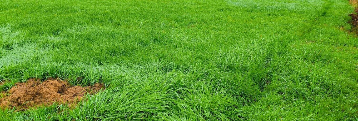 Terrain  2178 m² à vendre à Franchevelle (70200)