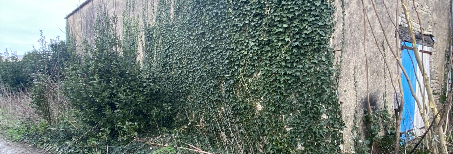 Terrain  430 m² à vendre à Vérines (17540)