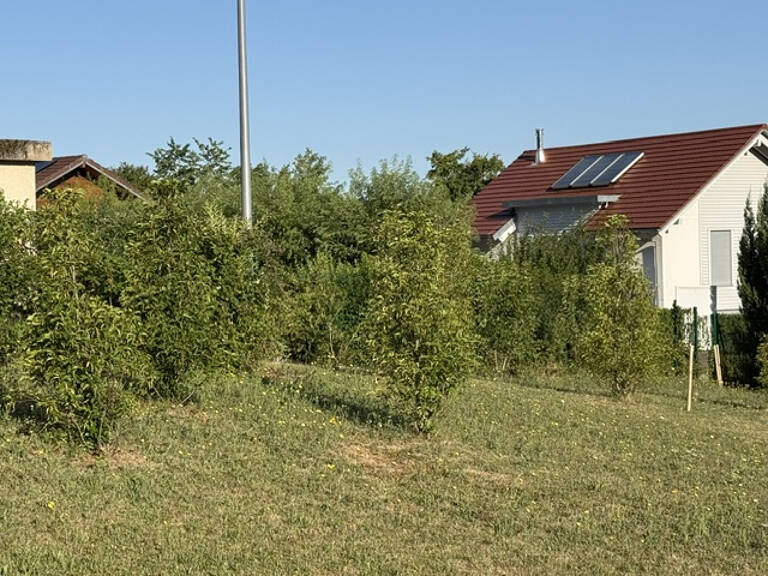 EXCLUSIVITE ARCHAMPS — photo 1