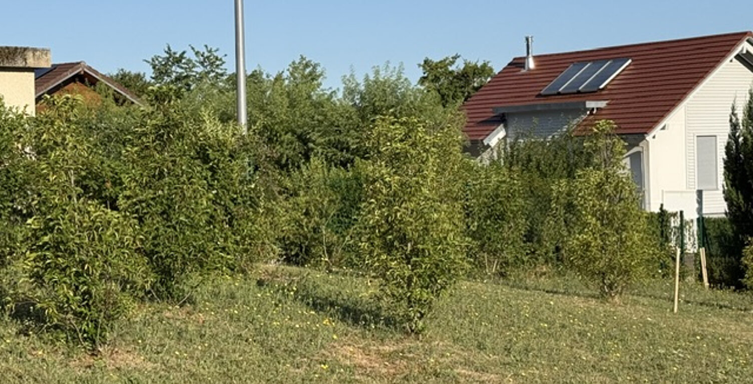EXCLUSIVITE ARCHAMPS — photo 1