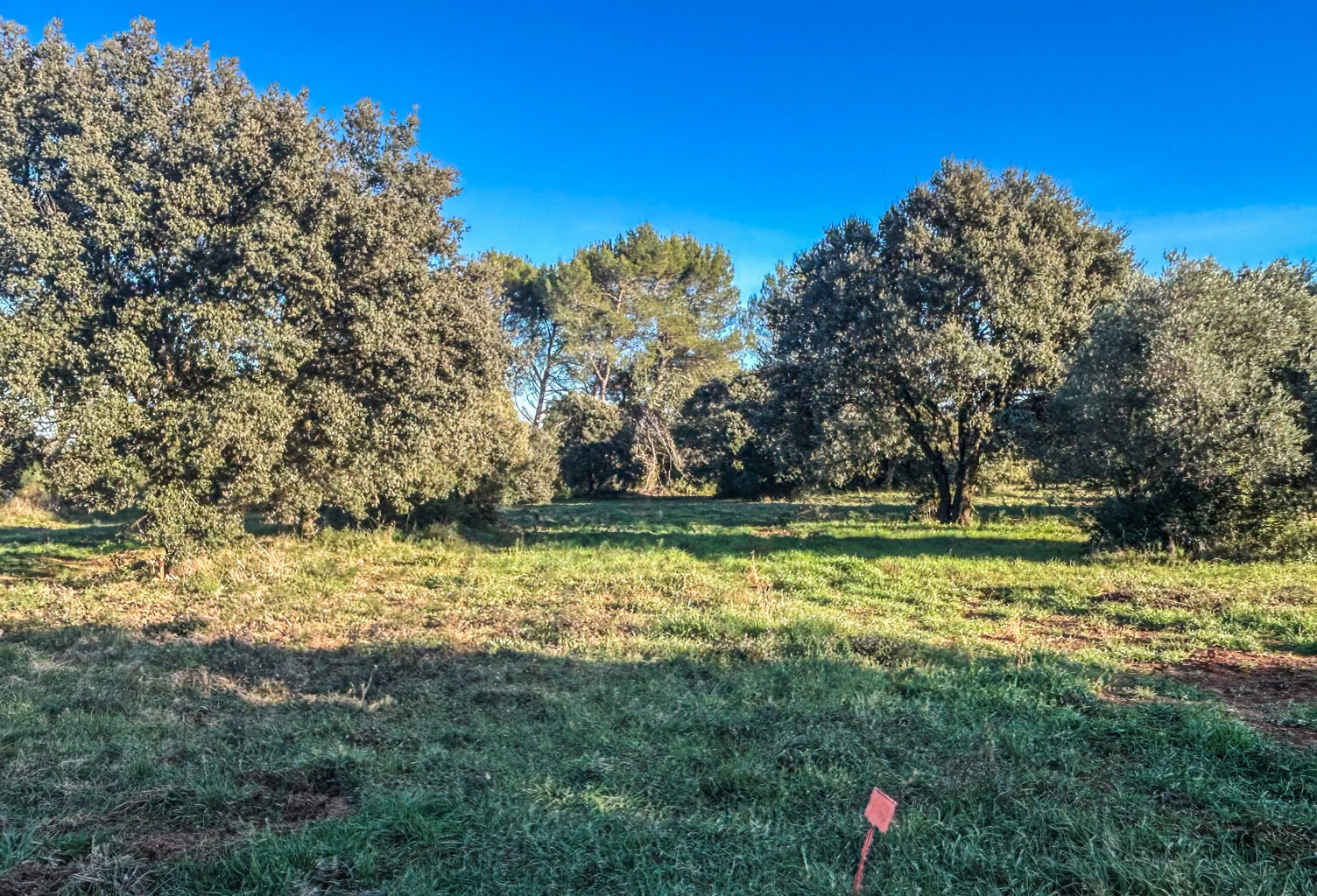 Saint Siffret : Terrain à bâtir à partir de 115000 € — photo 1