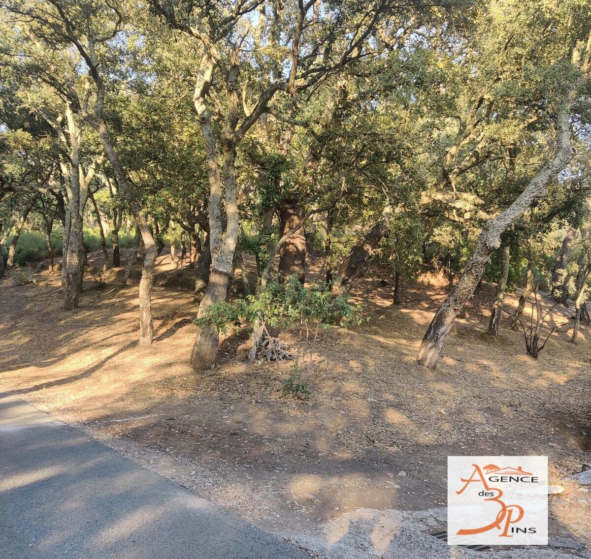 Terrain  à vendre Collobrières 83610