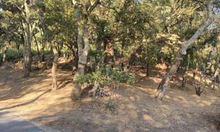 Terrain  29285 m² à vendre à Collobrières (83610)