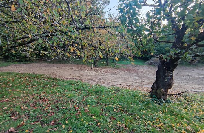 Rare sur le secteur, terrain à bâtir de 3094 m² — photo 5