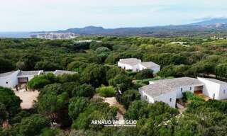 Commerce 12 Pièces 304 m² à vendre à Bonifacio / Bunifaziu (20169)