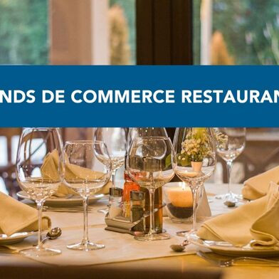 Commerce  250000 €