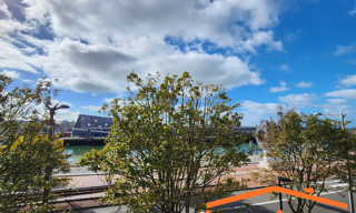 Appartement 1 Pièce 15 m² à vendre à Boulogne-sur-Mer (62200)