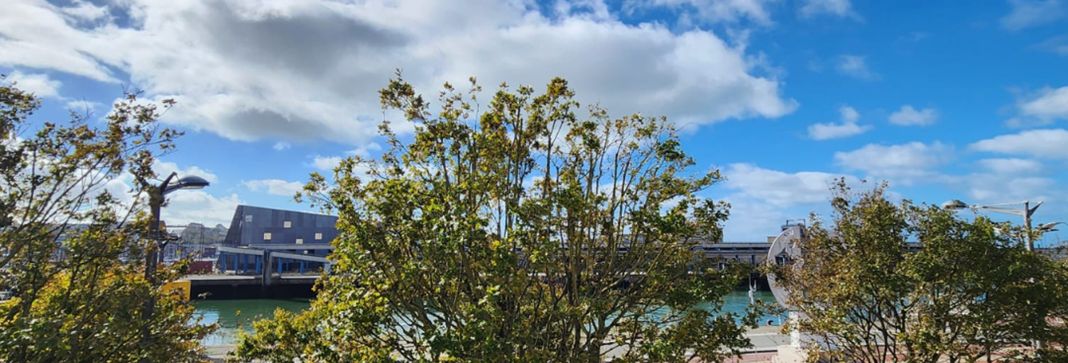 Appartement 1 Pièce 15 m² à vendre à Boulogne-sur-Mer (62200)