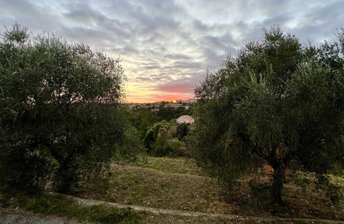 NICE OUEST Bellet : TERRAIN à Bâtir — photo 2