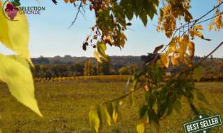 Terrain  1500 m² à vendre à Pellegrue (33790)