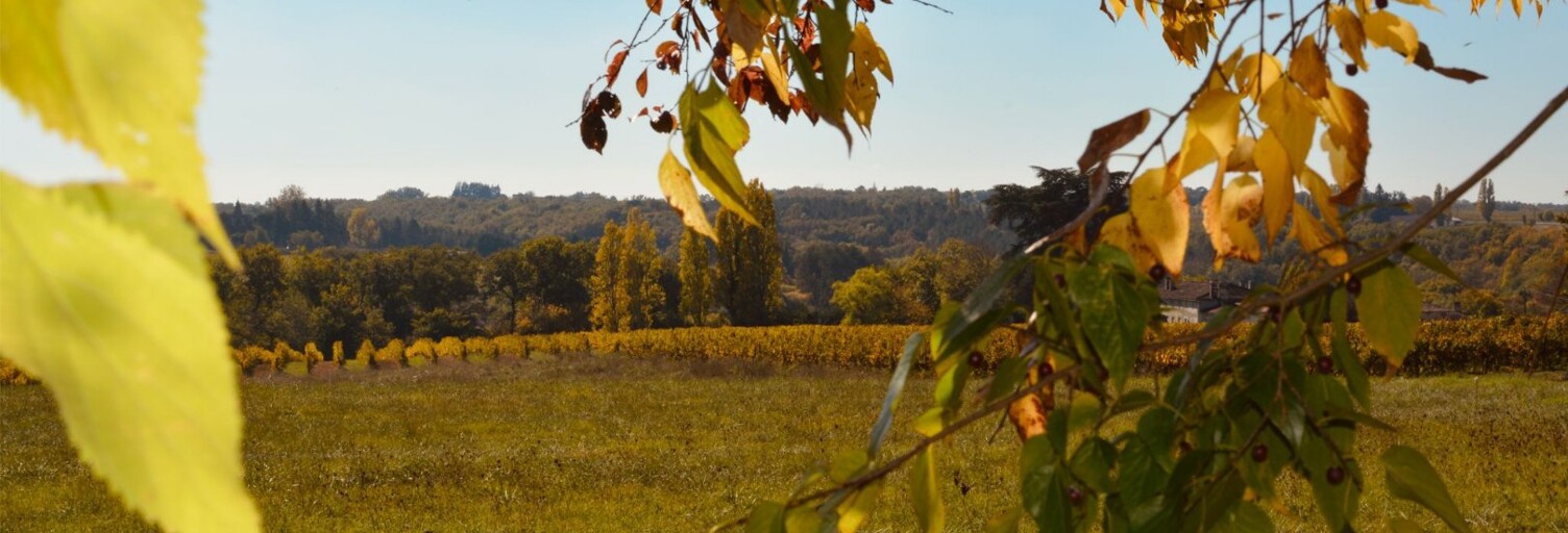 Terrain  1500 m² à vendre à Pellegrue (33790)