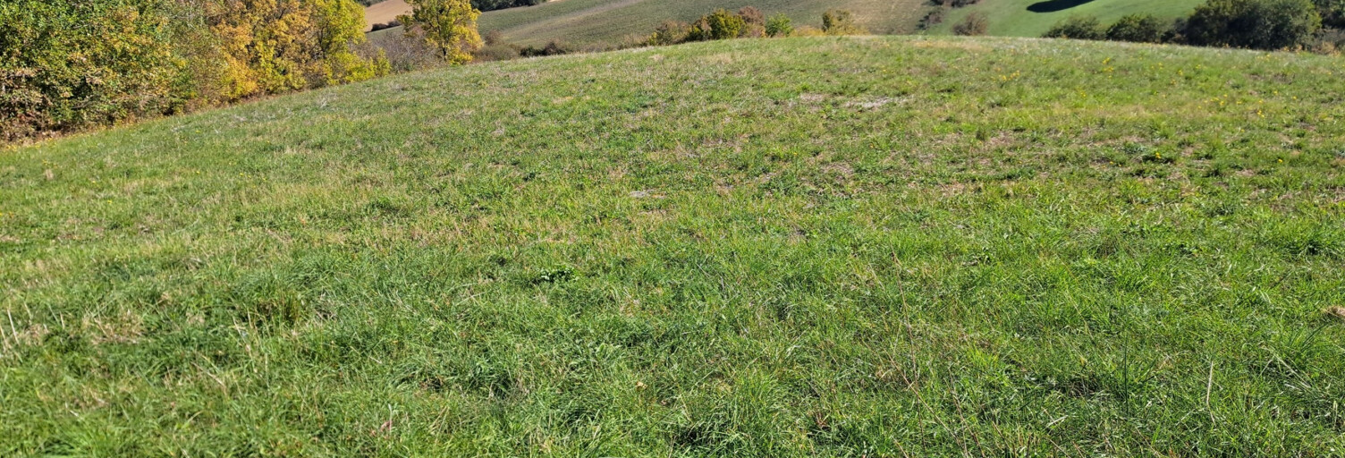 Terrain  110000 m² à vendre à Auch (32000)