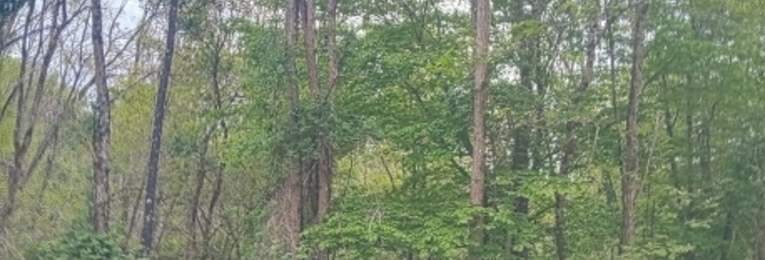 Terrain  14520 m² à vendre à Bray-Saint-Aignan (45460)