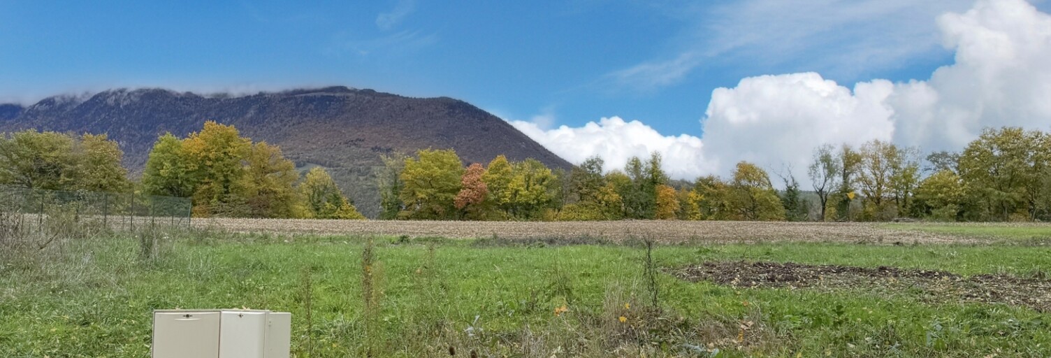 Terrain  760 m² à vendre à Éloise (01200)