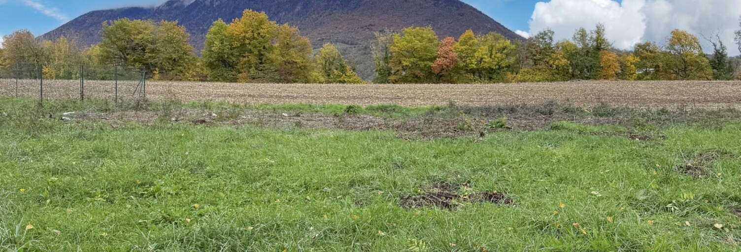 Terrain  760 m² à vendre à Éloise (01200)