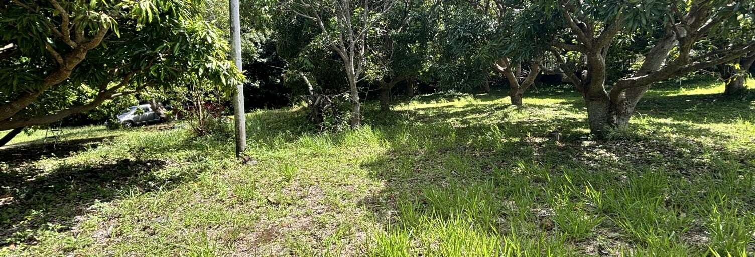 Terrain  747 m² à vendre à Saint-Pierre (97410)