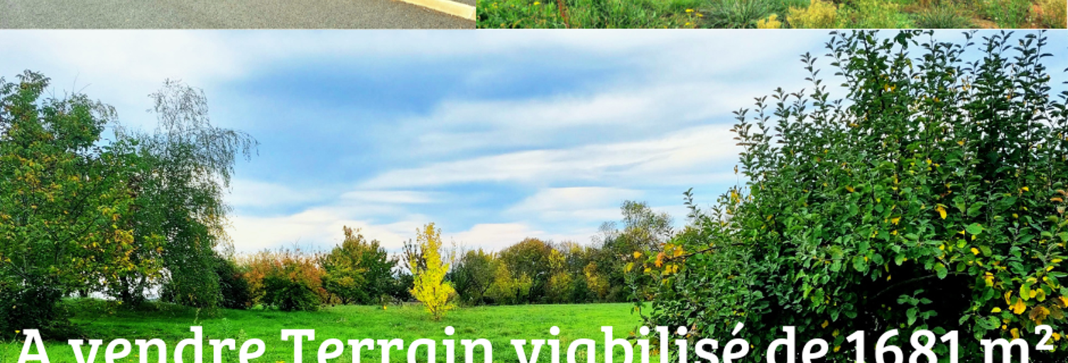 Terrain  1681 m² à vendre à Bellegarde-Marsal (81430)