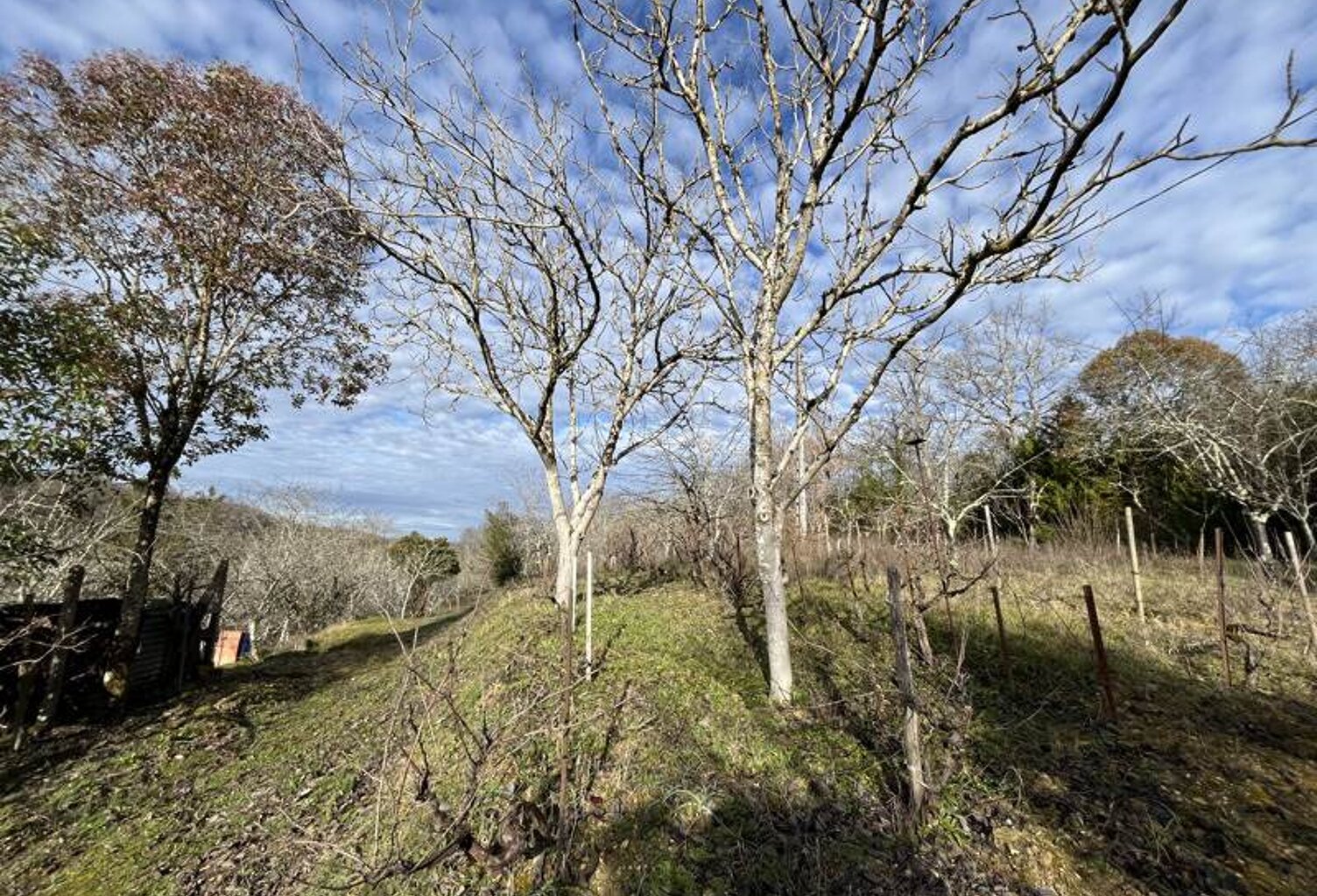 Terrain à bâtir de 0 pièces principales — photo 1