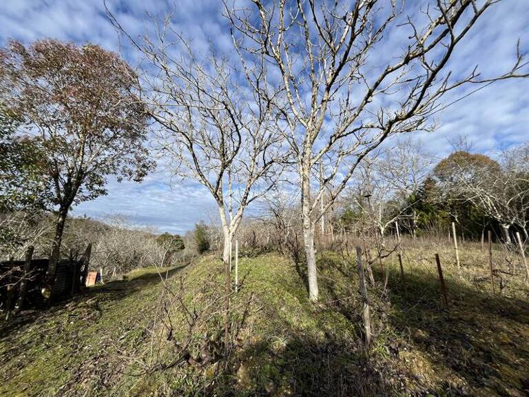 Terrain à bâtir de 0 pièces principales — photo 1