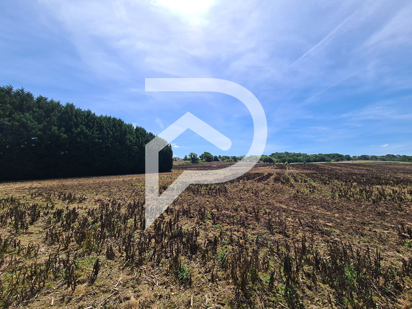 Terrain  à vendre Orthez 64300